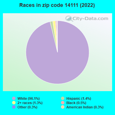 Races in zip code 14111 (2022)