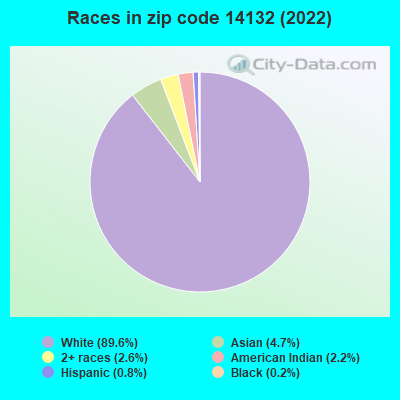 Races in zip code 14132 (2022)