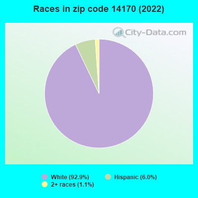 Races in zip code 14170 (2022)
