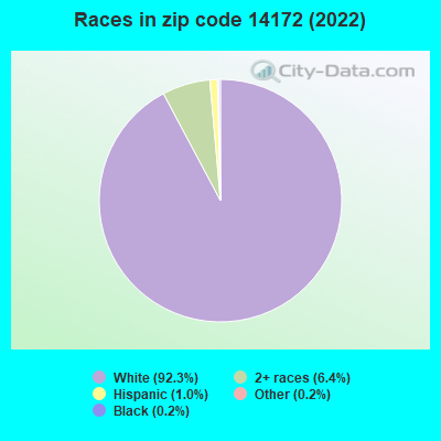 Races in zip code 14172 (2022)