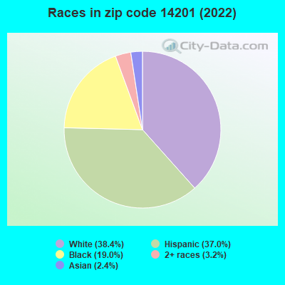 Races in zip code 14201 (2022)