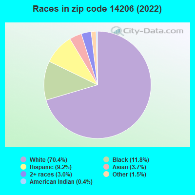 Races in zip code 14206 (2022)