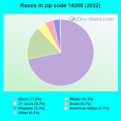Races in zip code 14208 (2021)