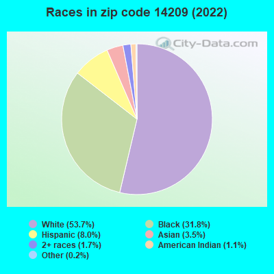 Races in zip code 14209 (2022)