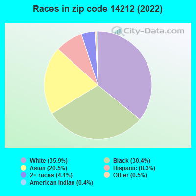 Races in zip code 14212 (2022)