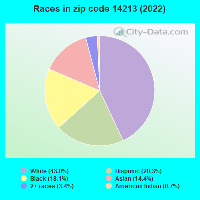 Races in zip code 14213 (2022)