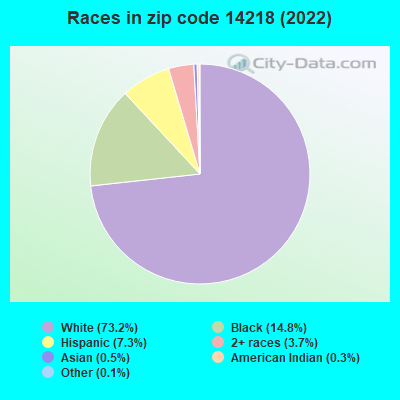 Races in zip code 14218 (2022)