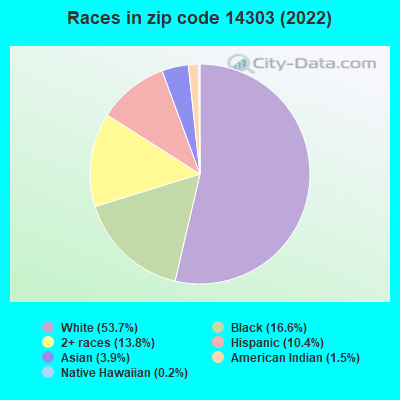 Races in zip code 14303 (2022)