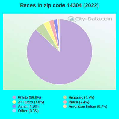 Races in zip code 14304 (2022)