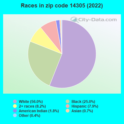Races in zip code 14305 (2022)