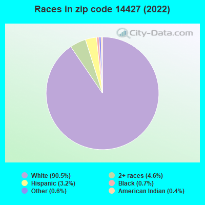 Races in zip code 14427 (2022)