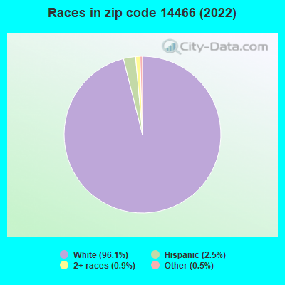 Races in zip code 14466 (2022)