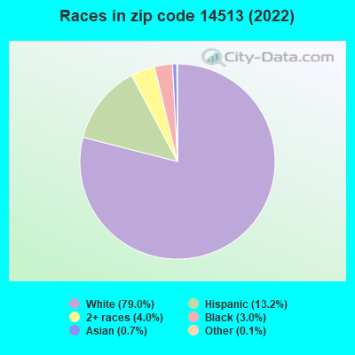 Races in zip code 14513 (2022)