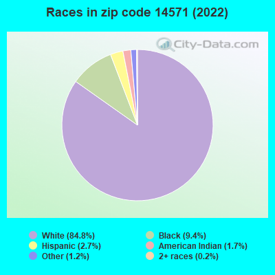 Races in zip code 14571 (2022)