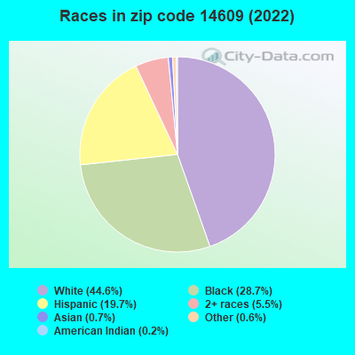 Races in zip code 14609 (2022)