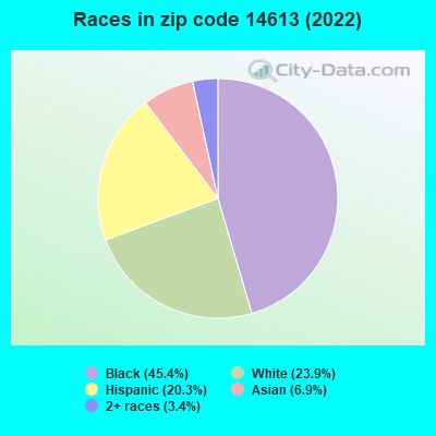 Races in zip code 14613 (2022)