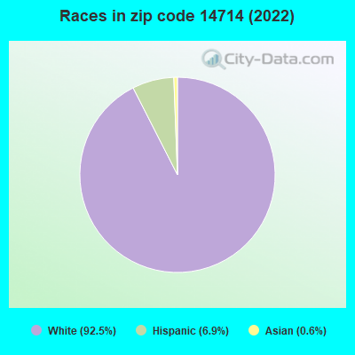 Races in zip code 14714 (2022)