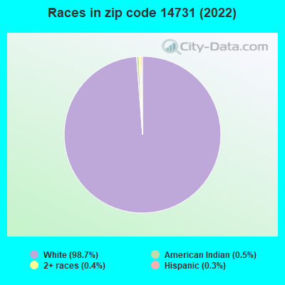 Races in zip code 14731 (2022)
