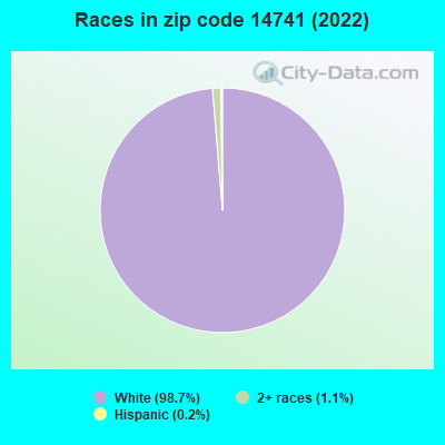 Races in zip code 14741 (2022)