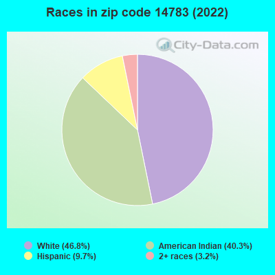 Races in zip code 14783 (2022)