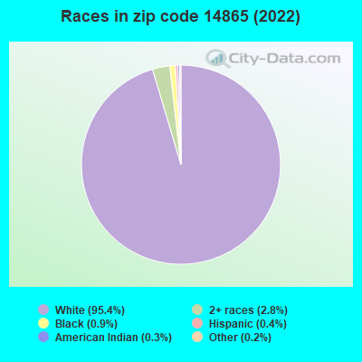 Races in zip code 14865 (2022)