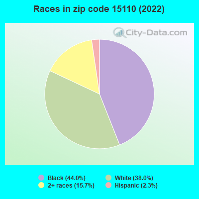 Races in zip code 15110 (2022)