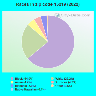 Races in zip code 15219 (2022)