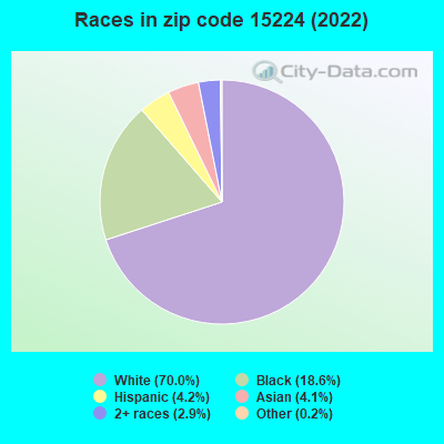 Races in zip code 15224 (2022)