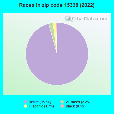 Races in zip code 15338 (2022)