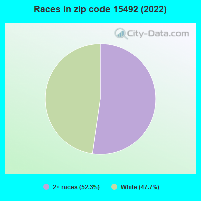 Races in zip code 15492 (2022)