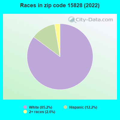 Races in zip code 15828 (2022)