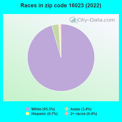 Races in zip code 16023 (2022)