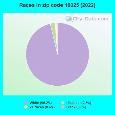 Races in zip code 16025 (2022)