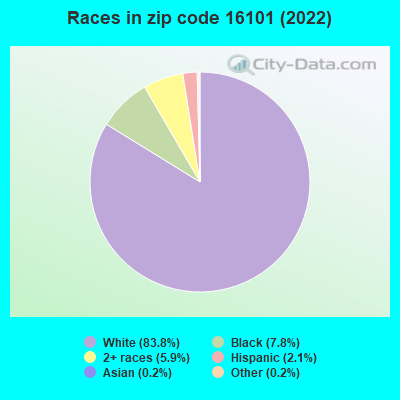 Races in zip code 16101 (2022)