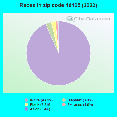 Races in zip code 16105 (2022)