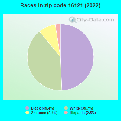 Races in zip code 16121 (2022)