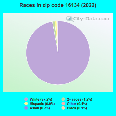 Races in zip code 16134 (2022)