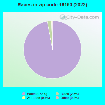 Races in zip code 16160 (2022)