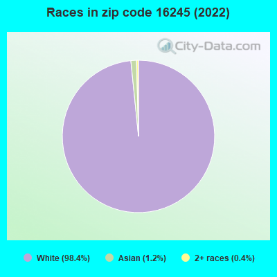 Races in zip code 16245 (2022)