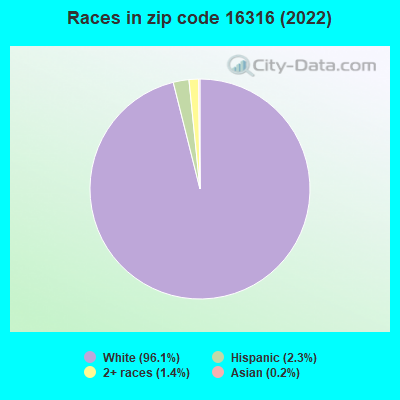 Races in zip code 16316 (2022)