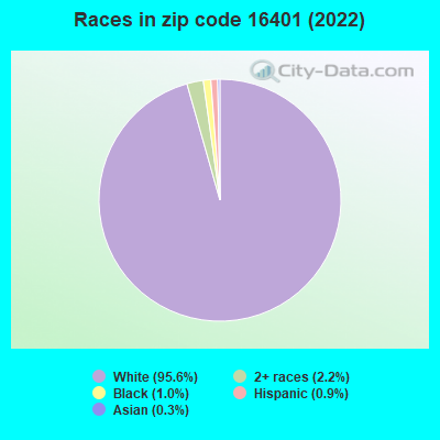 Races in zip code 16401 (2022)