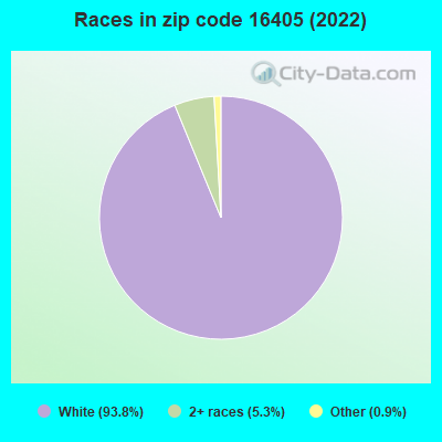 Races in zip code 16405 (2022)