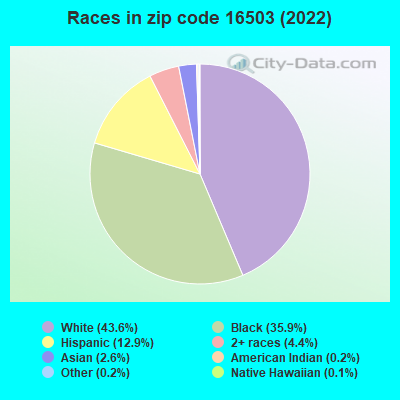 Races in zip code 16503 (2022)