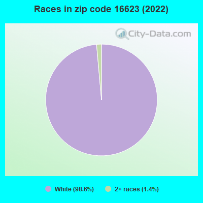 Races in zip code 16623 (2022)