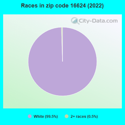 Races in zip code 16624 (2022)