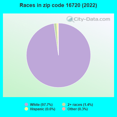 Races in zip code 16720 (2022)