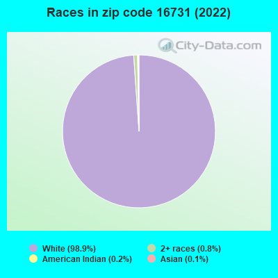 Races in zip code 16731 (2022)