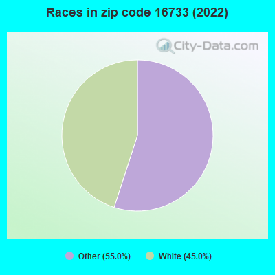 Races in zip code 16733 (2022)