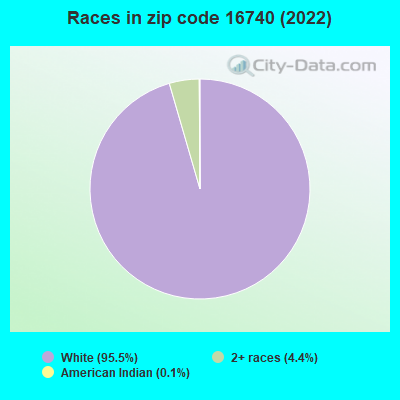 Races in zip code 16740 (2022)
