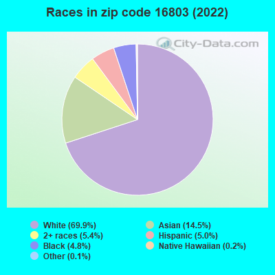 Races in zip code 16803 (2022)